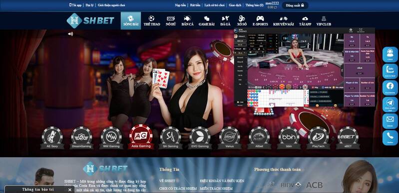 Thông tin về trang web game 9Dbet - 9Dbet