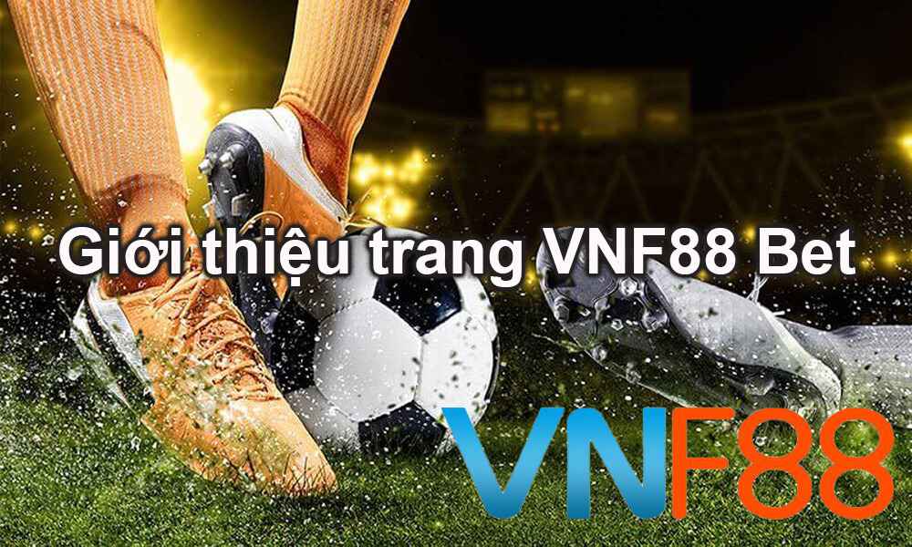 Bảng tổng hợp tỷ lệ cược của một số công ty game cấp 24N nổi tiếng - 24N