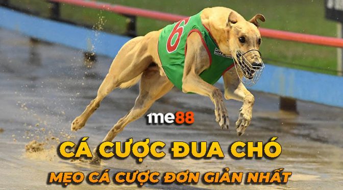 Ee88 là công ty game hàng đầu và nổi tiếng nhất châu Á - Ee88