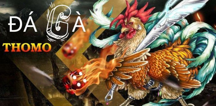 Độ tuổi tối thiểu để người chơi tham gia các trò chơi trên trang web Re88 là bao nhiêu? - Re88