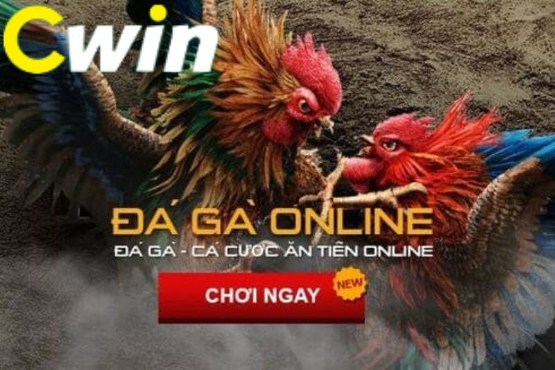 Winvn Online cung cấp nhiều ưu đãi hấp dẫn cho tất cả thành viên - Winvn