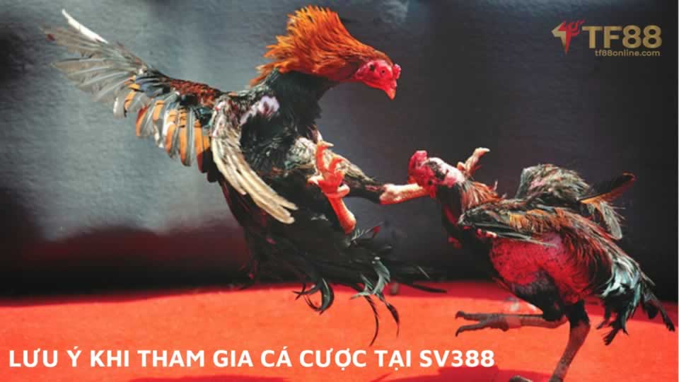 Danh sách các hạng mục trò chơi xuất sắc cấp độ Banca30 - Banca30