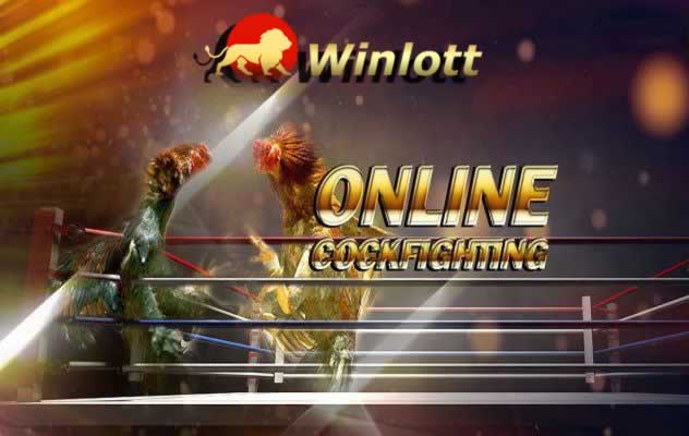 Quy tắc và quy định thi đấu bóng chuyền của Công ty Vb68 Games - Vb68