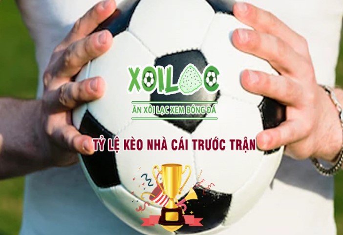Điều kiện và quy định để được hưởng chiết khấu hoa hồng từ Kubet88 - Kubet88