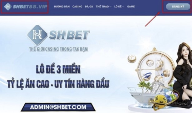 Luck8 tổ chức nhiều sự kiện quảng bá chọi gà vô cùng hấp dẫn - Luck8
