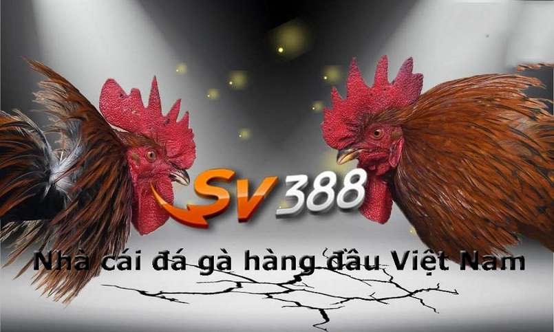 Cửa hàng trò chơi phong phú của Câu lạc bộ Sen88 - Sen88