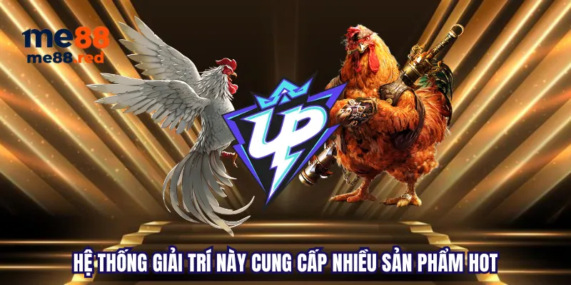 Tại sao bạn nên chọn đặt cược vào các công ty cá cược được xếp hạng N666? - N666