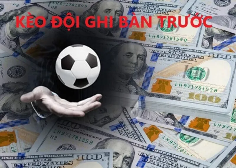 Trụ sở chính của 8Xbet nằm ở đâu? - 8Xbet