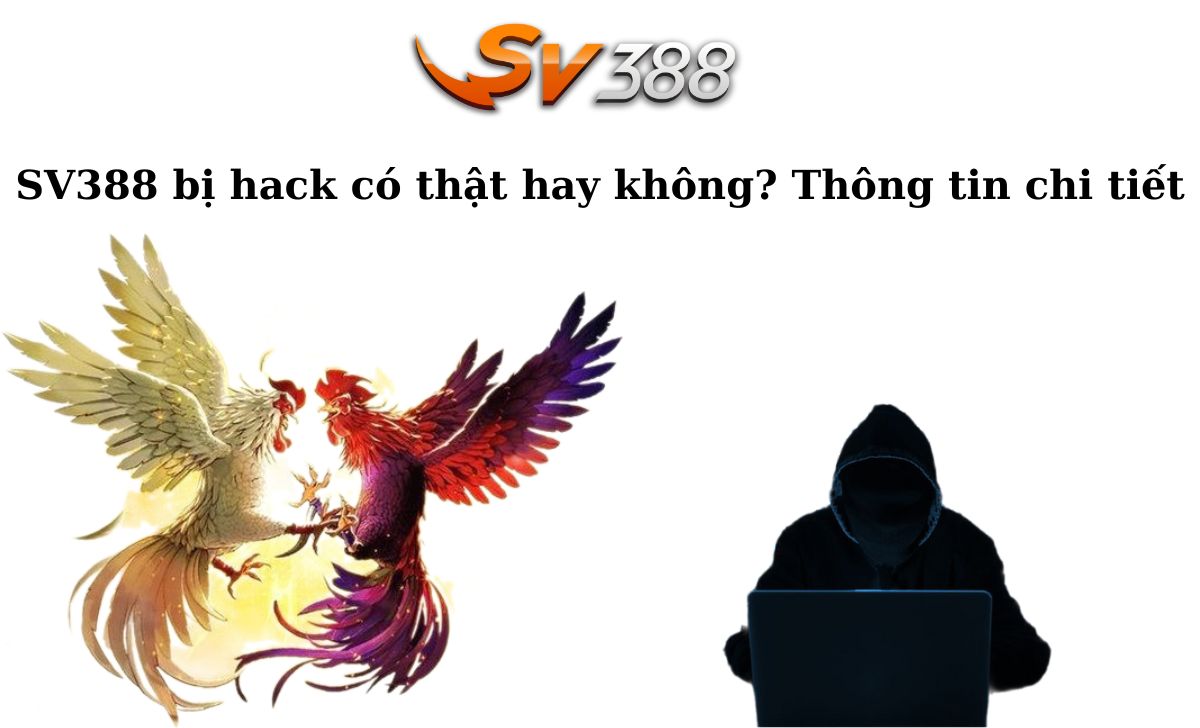 88Clb Khám phá những sân chơi xanh tuyệt vời nhất - 88Clb