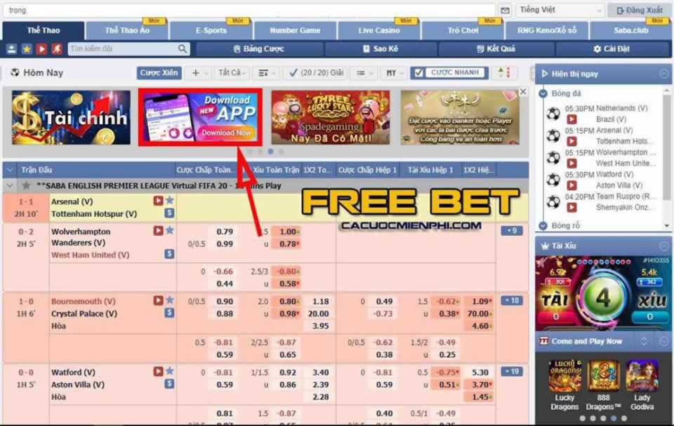 Lần kết nối cuối cùng với Betvn là vào năm 2026 - Betvn