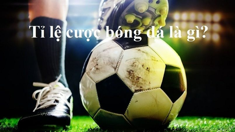 Các sòng bạc trực tuyến được xếp hạng 789F cung cấp tỷ lệ thanh toán cực kỳ hấp dẫn - 789F