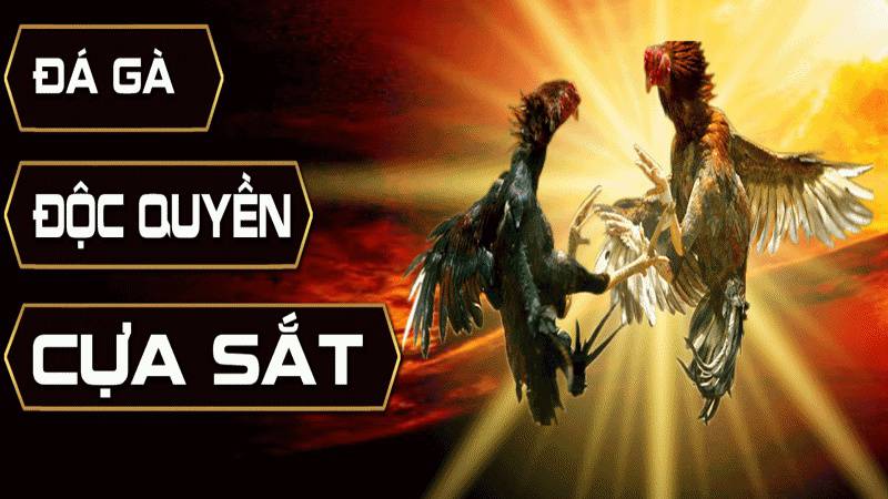 Tài nguyên trang web Dv88 - Dv88
