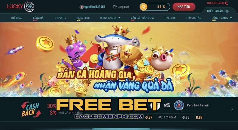 Điều gì khiến D9bet trở nên xuất sắc đến vậy? - D9bet