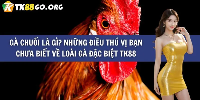 Khám phá những cổng game Raybet phổ biến và thịnh hành nhất - Raybet