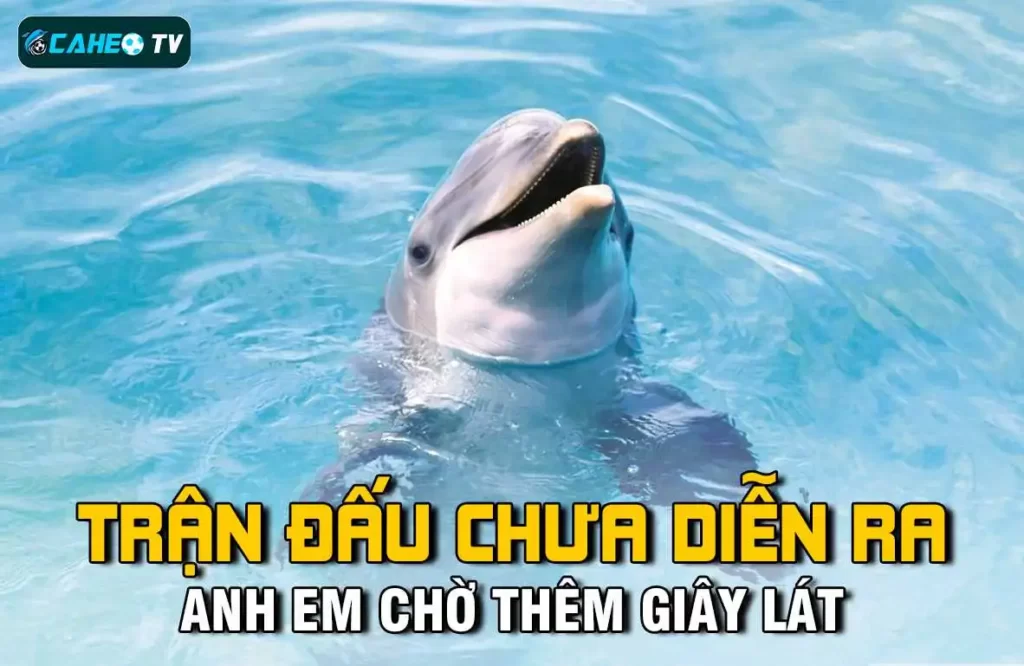 Ưu đãi tuyệt vời của Sv368 - Sv368